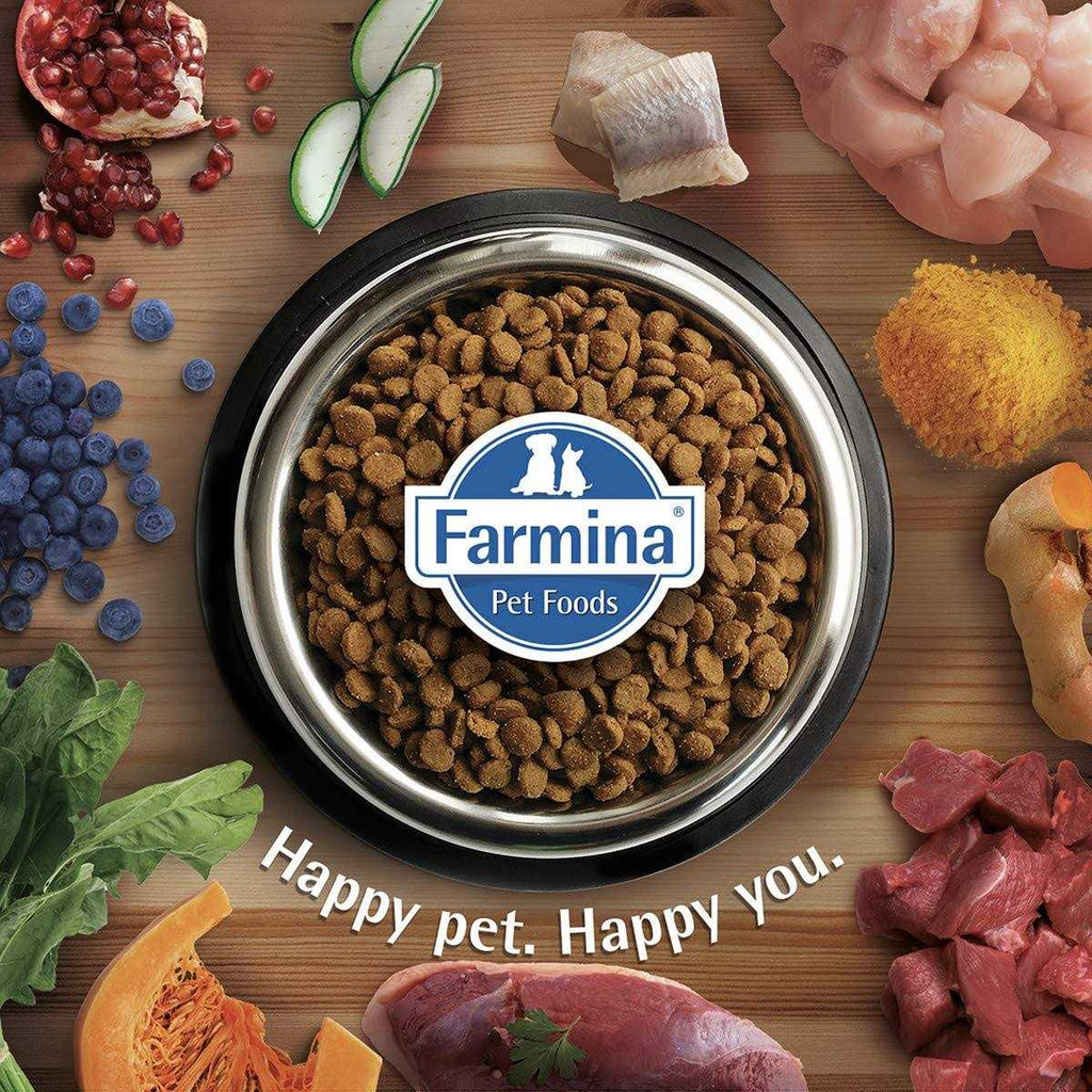Chicken & Pomegranate Cat Dry Food C8675