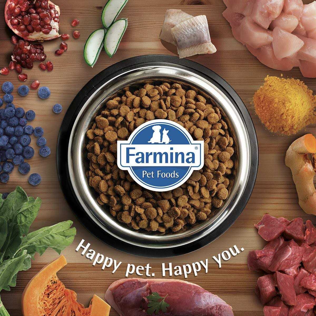 Chicken & Pomegranate Cat Dry Food C8675