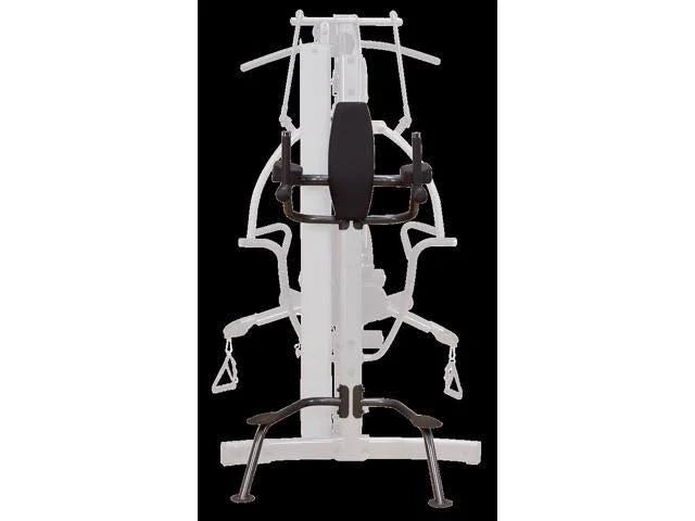 Vertical Knee-Raise/Dip Station Z3035