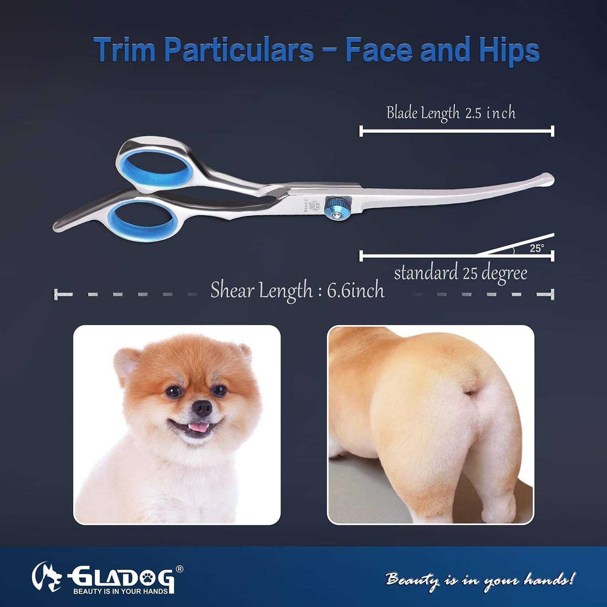4 in 1 Dog Grooming Scissors Set X56256