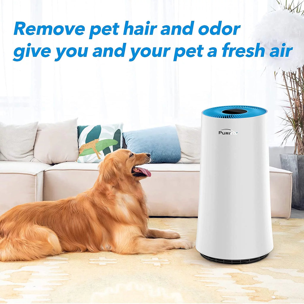 H13 True HEPA Air Purifier with Sleep Mode O744638