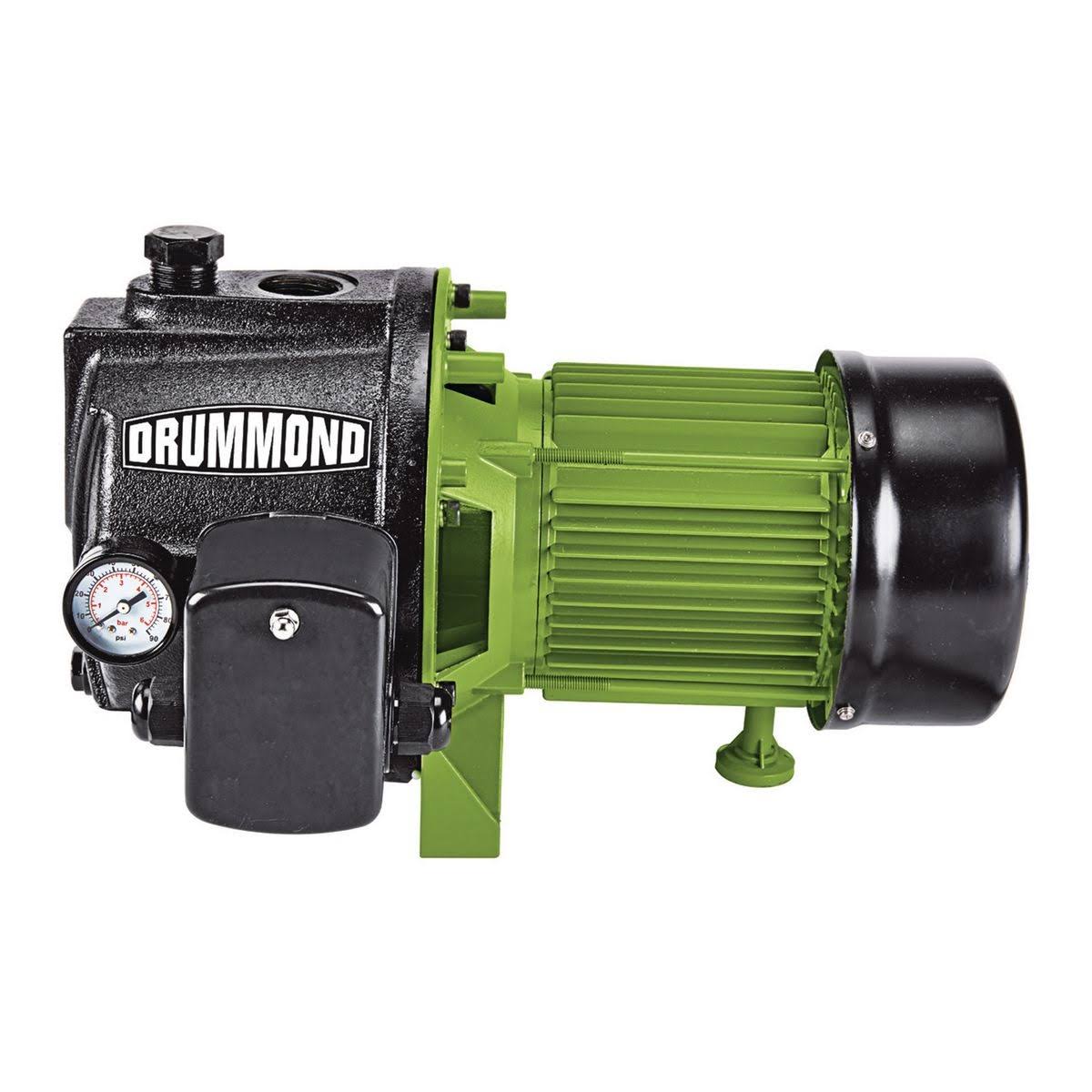 1 HP Cast Iron Shallow Well Pump B276