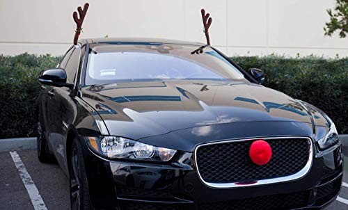Reindeer Antlers & Nose Christmas Decorations X296592