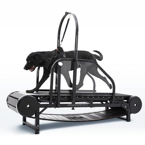 Non-Electric Dog Treadmill with Step Counter, Adjustable Incline & Brake C39096