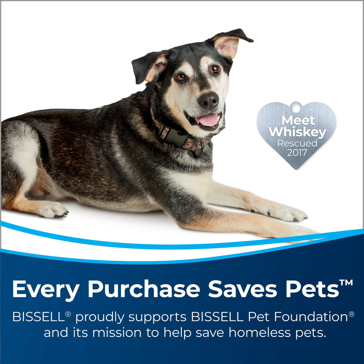 Lightweight Carpet Washer I1591