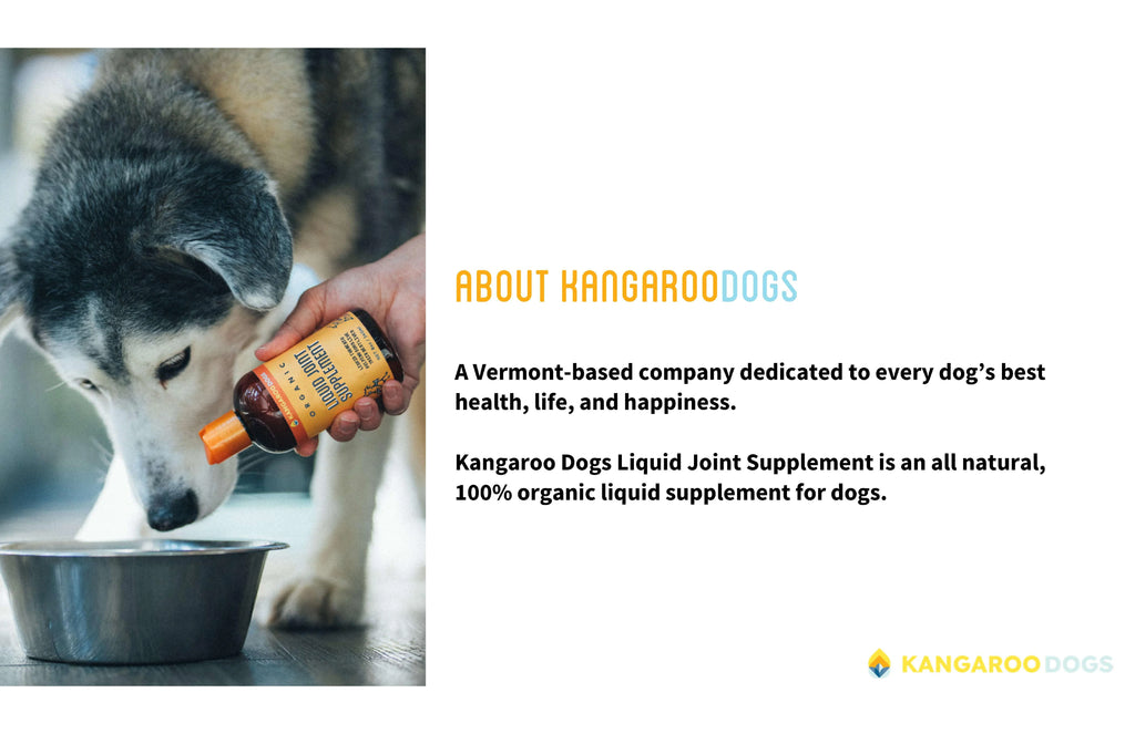 Organic Turmeric Curcumin Dog Joint Supplement Liquid 8 oz Q520