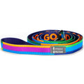Dog Leash O24761