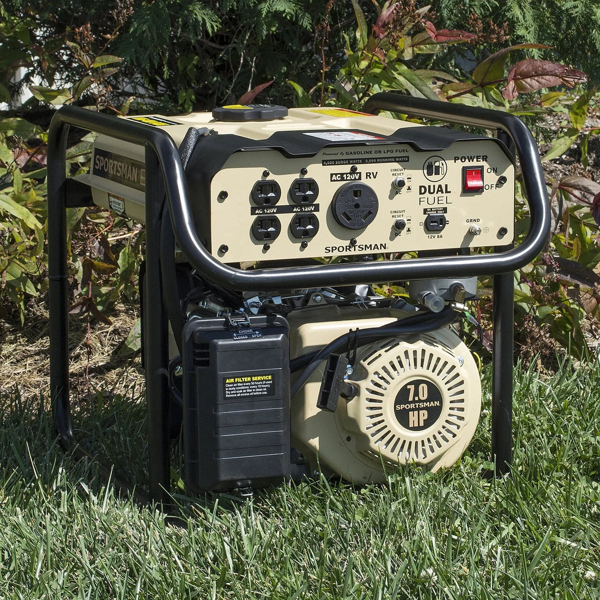 4000 Watt Dual Fuel Generator C989306