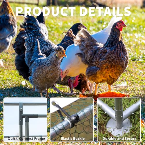 Large Metal Walk-in Chicken Coop with Anti-UV Cover I575