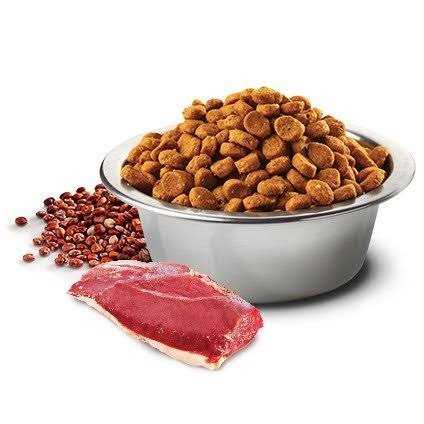 Quinoa Digestion Lamb Pet Supplies B29530