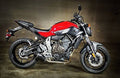 Carbon Fiber Slip-On Exhaust C482477