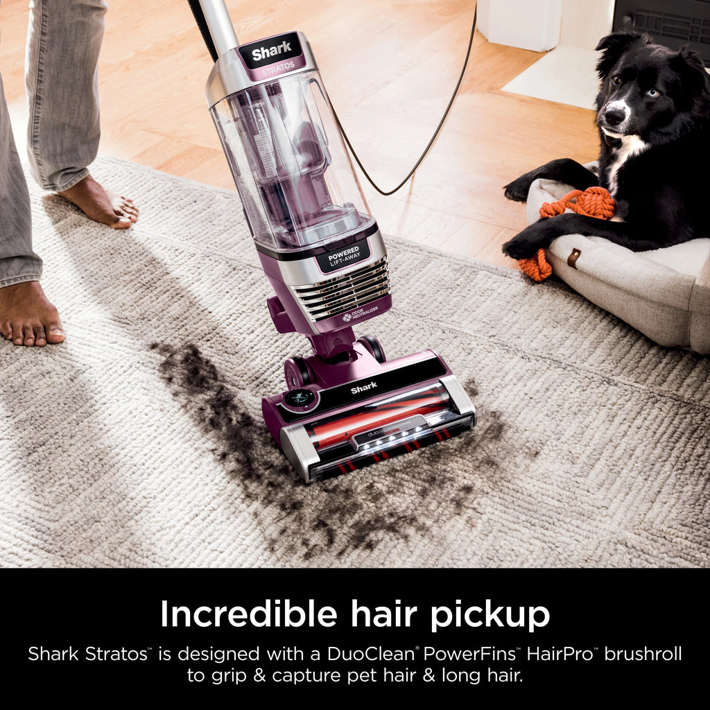 Upright Vacuum with Self-Cleaning Brushroll D225