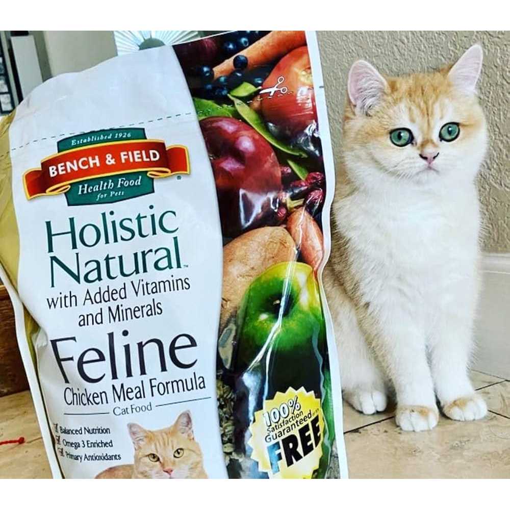 Natural Holistic Cat Food F2920