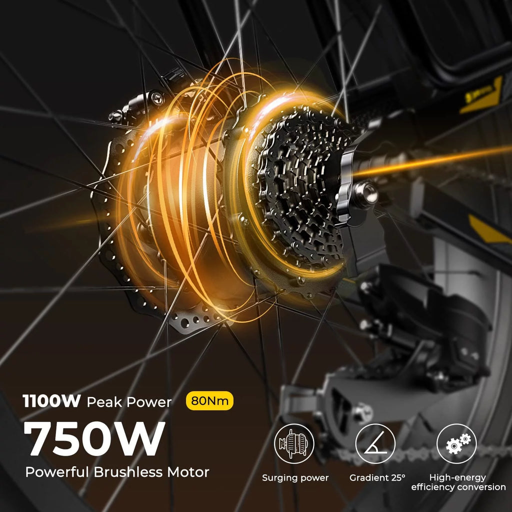 Foldable 20 Fat Tire Electric Bike with 750W Motor V16247