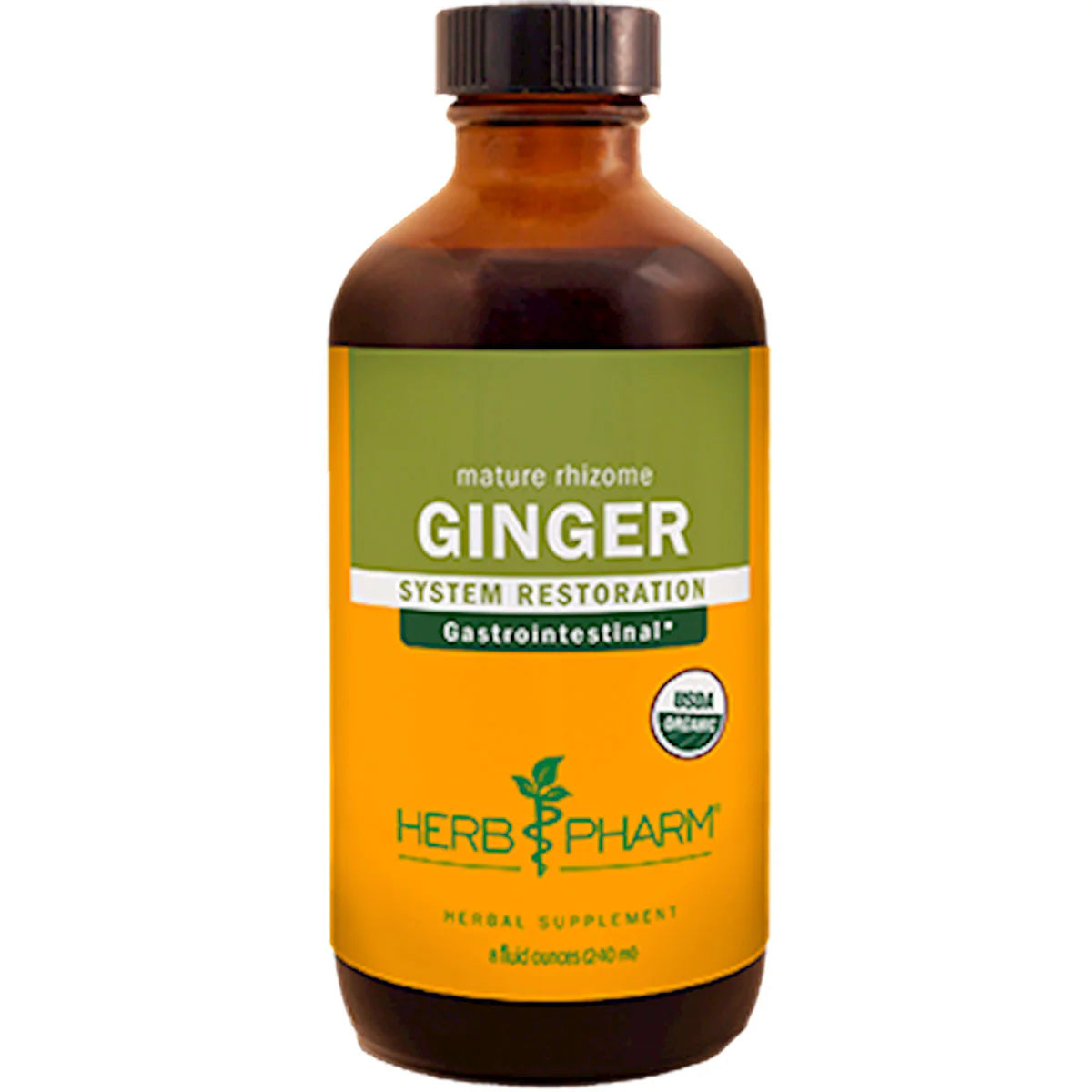 Ginger T787046