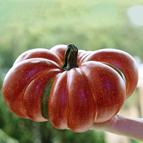 Large Artificial Pumpkin 12.6inch White Speckles L77566