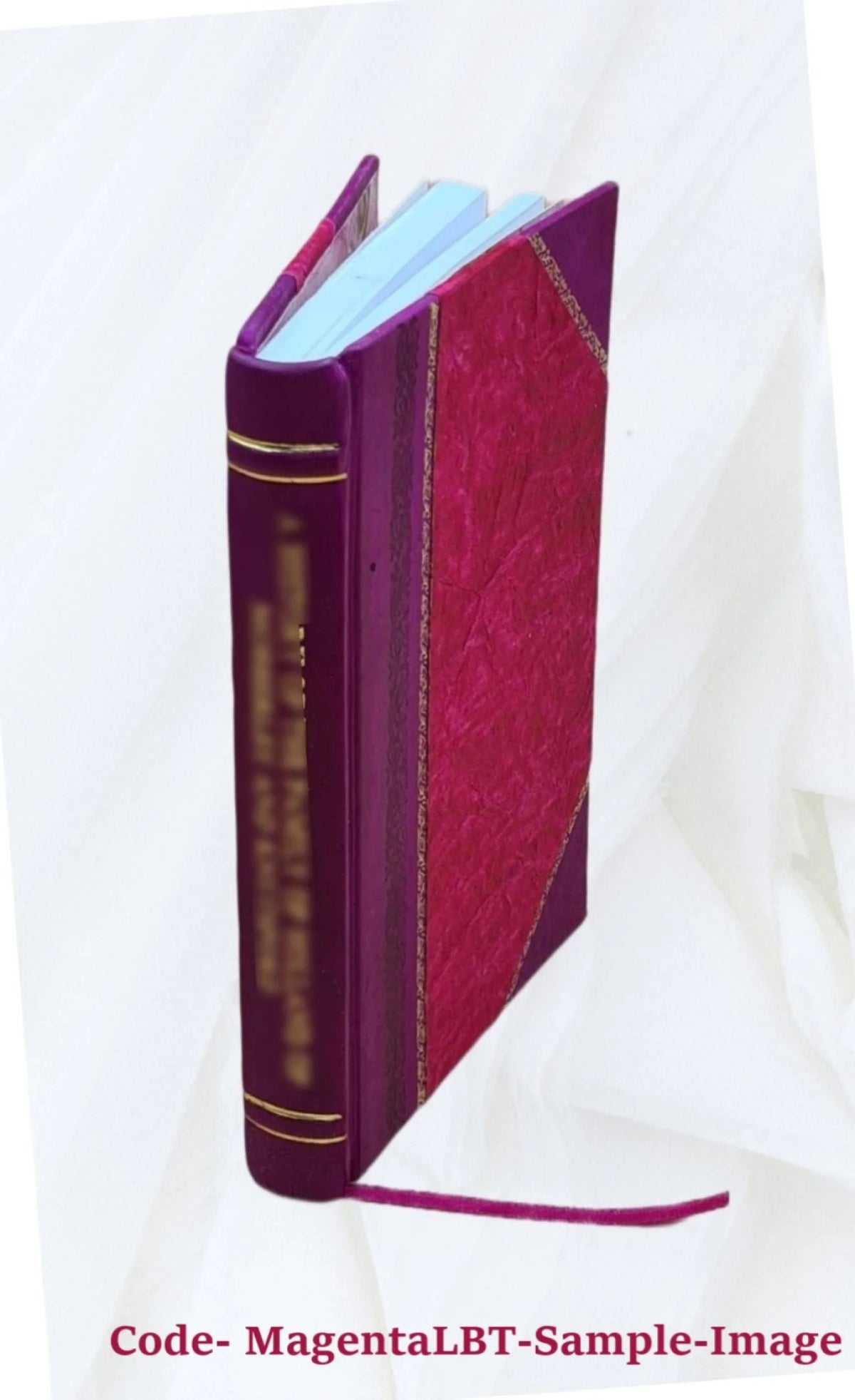 Leather Bound Book L38365