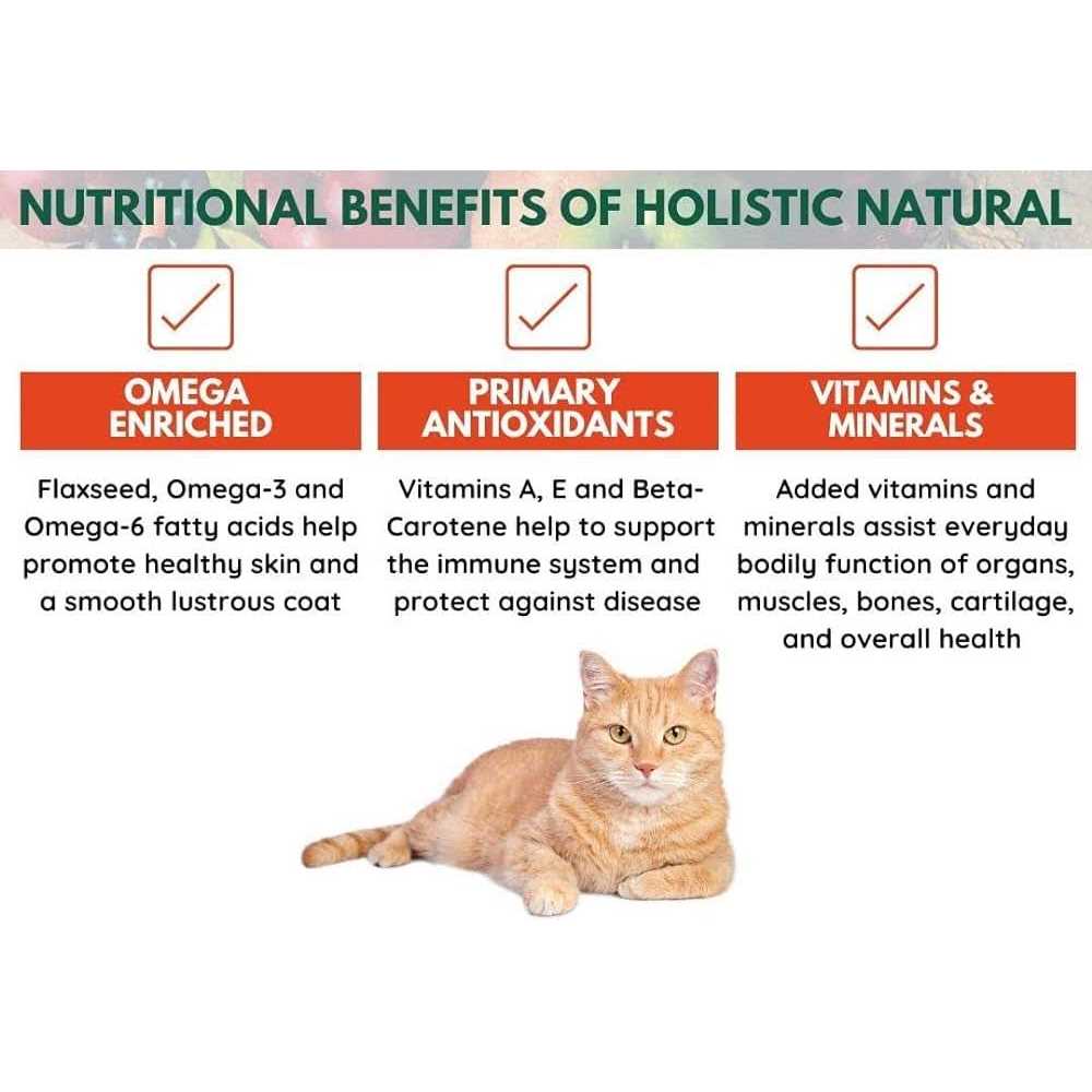 Natural Holistic Cat Food F2920