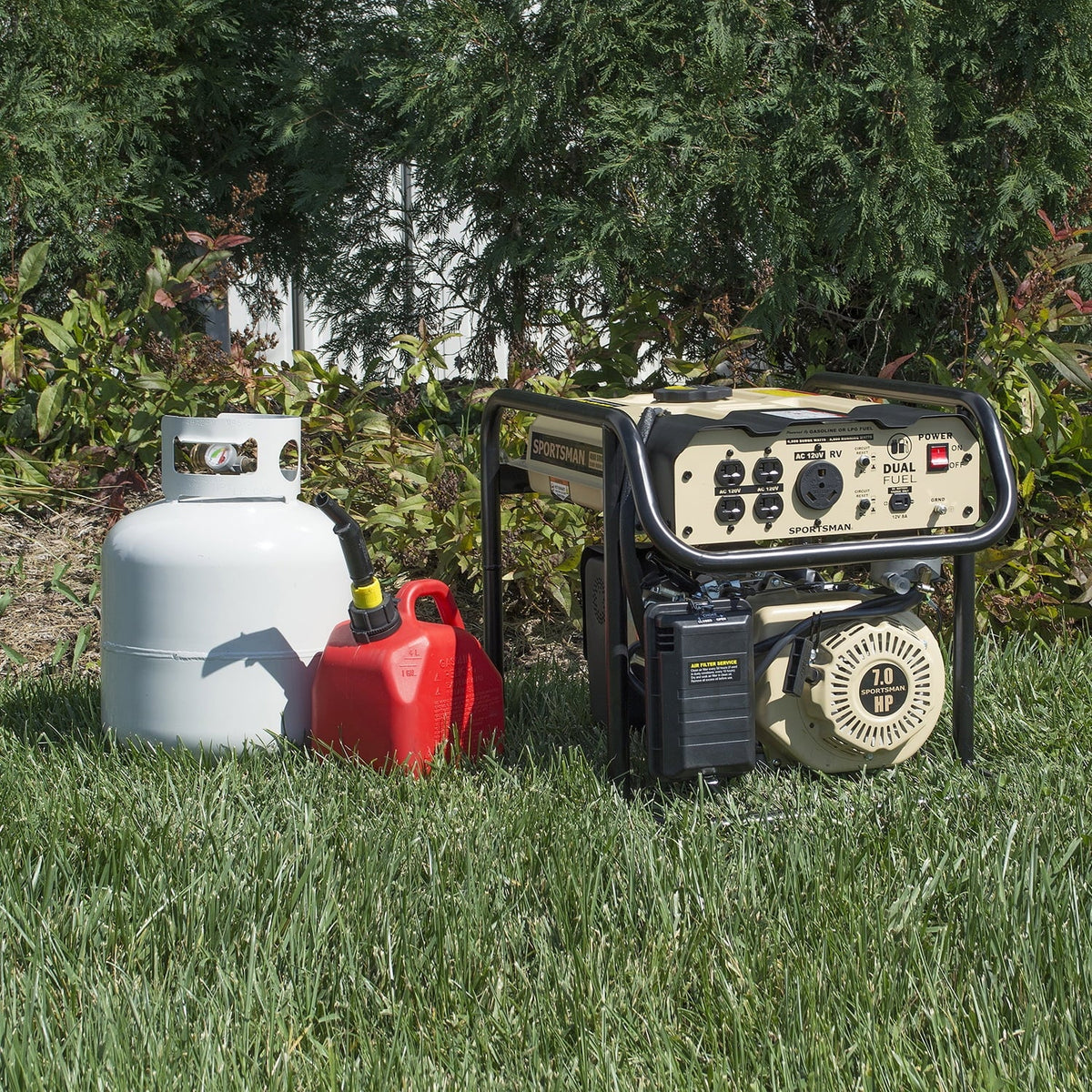 4000 Watt Dual Fuel Generator C989306