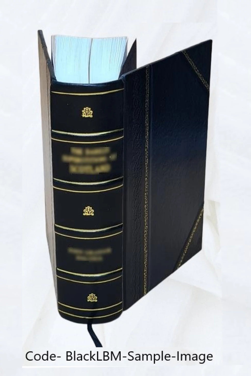 Electric Law Treatise Leather Bound Y7426