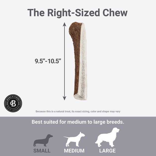 Elk Antler Split Dog Chew S741