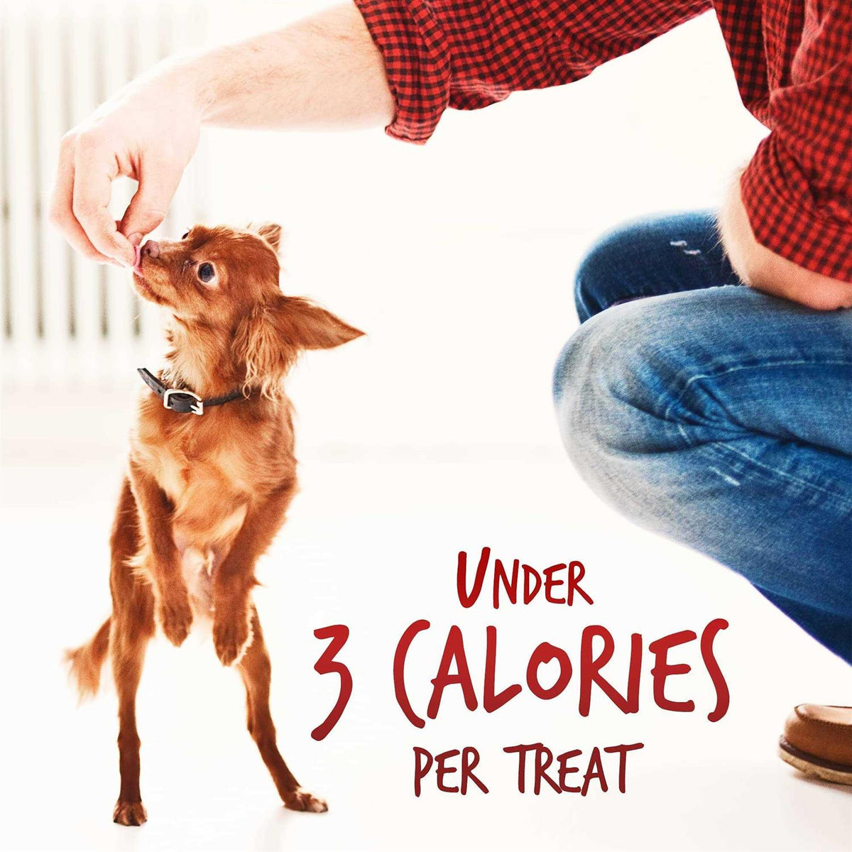 Dog Treats O94144