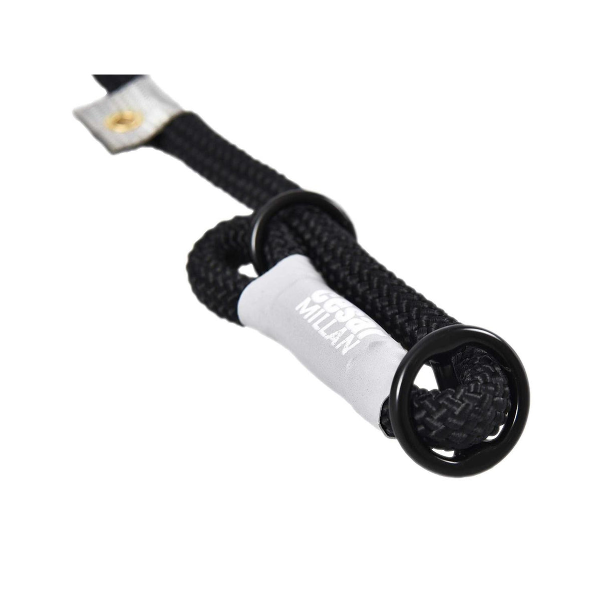 2-in-1 Slip Collar Dog Training Lead & Collar B196914
