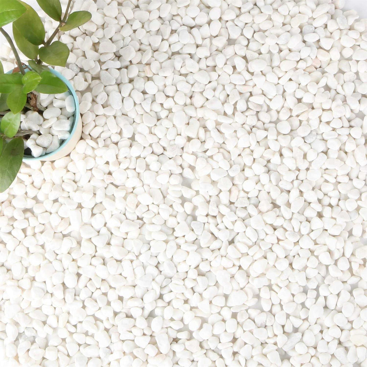 White 1/2 Size Aquarium Gravel Decorative Stones P25683