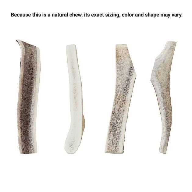 Elk Antler Split Dog Chew S741