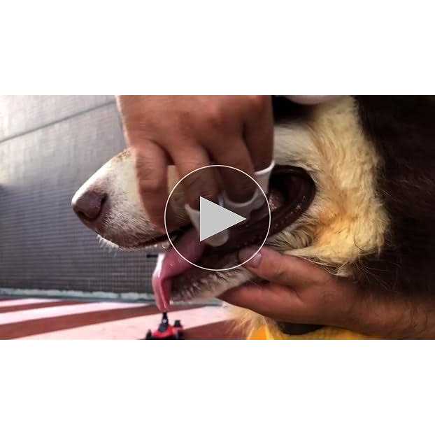 Dog Cat Finger Toothbrush U4780