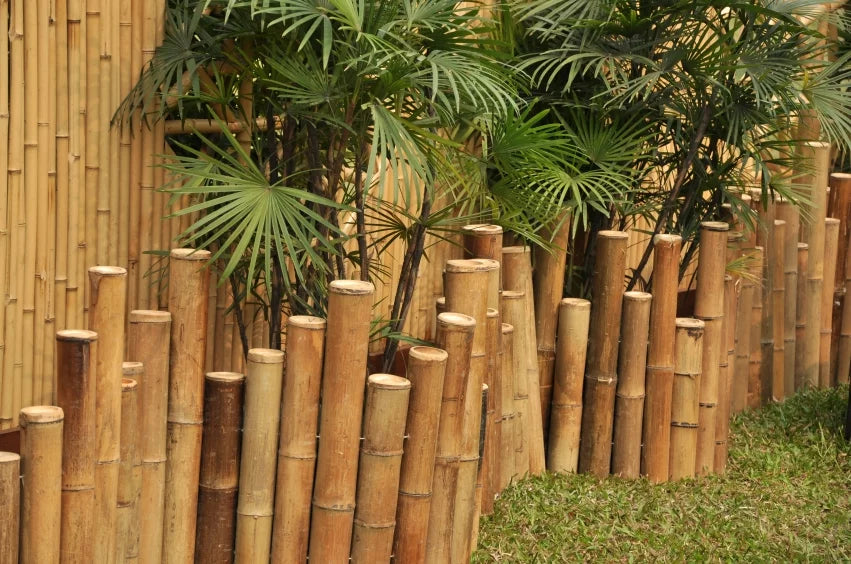 Natural Bamboo Border Edging 23" L x 8" H 5-Pack F757