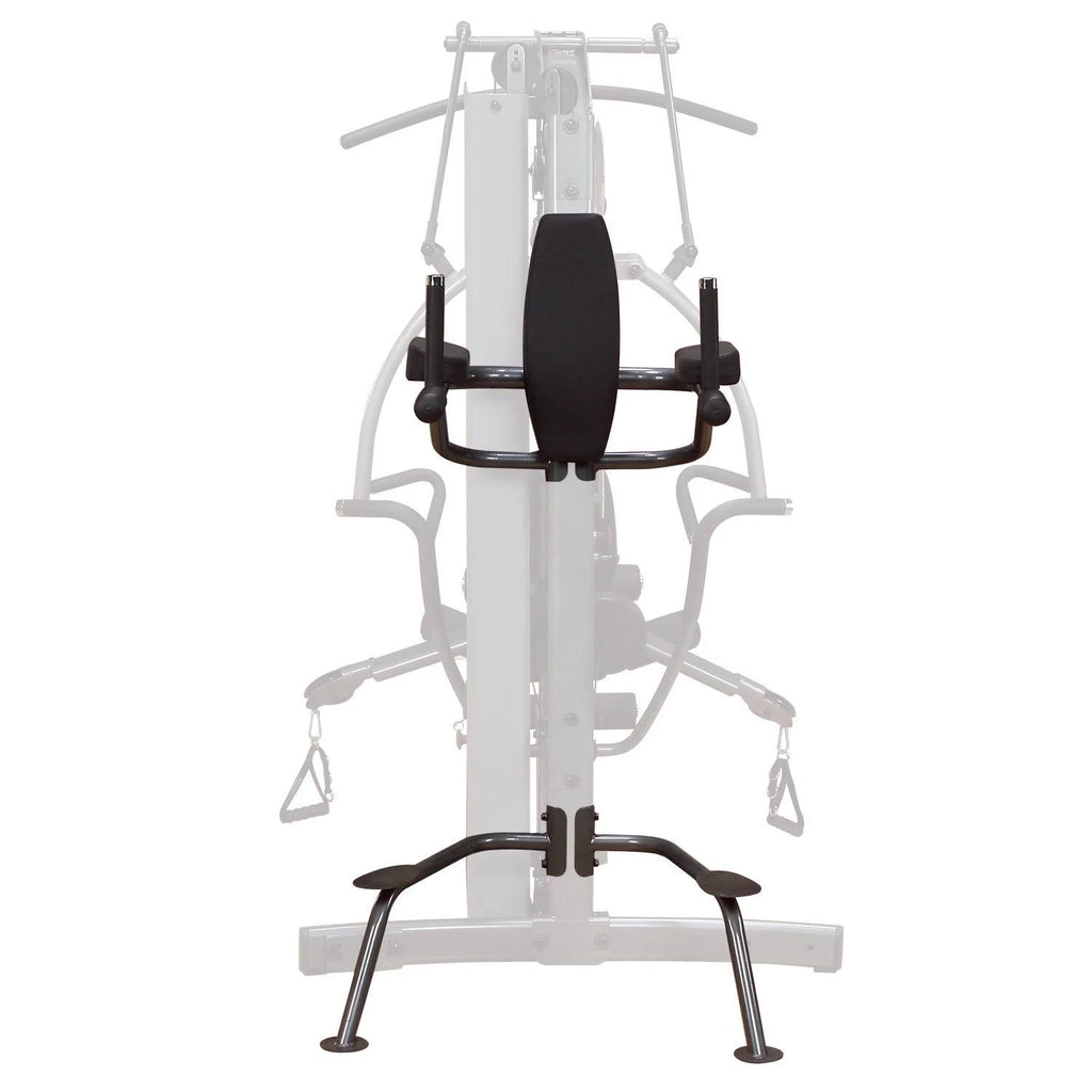 Vertical Knee-Raise/Dip Station Z3035