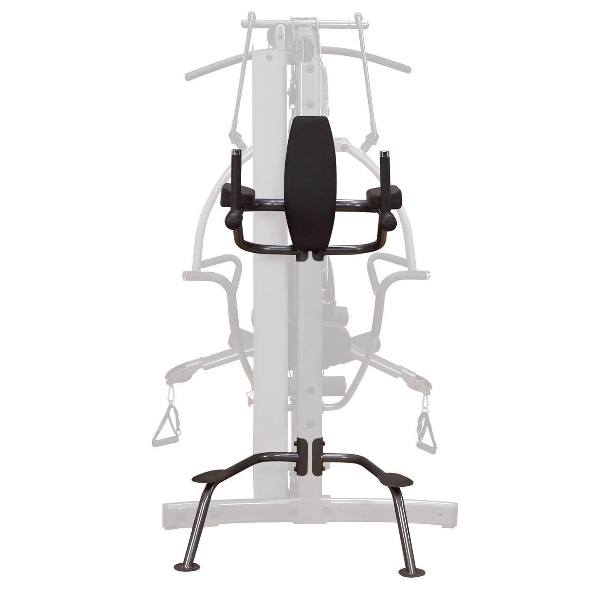 Vertical Knee-Raise/Dip Station Z3035
