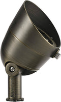 LED Landscape Accent X779