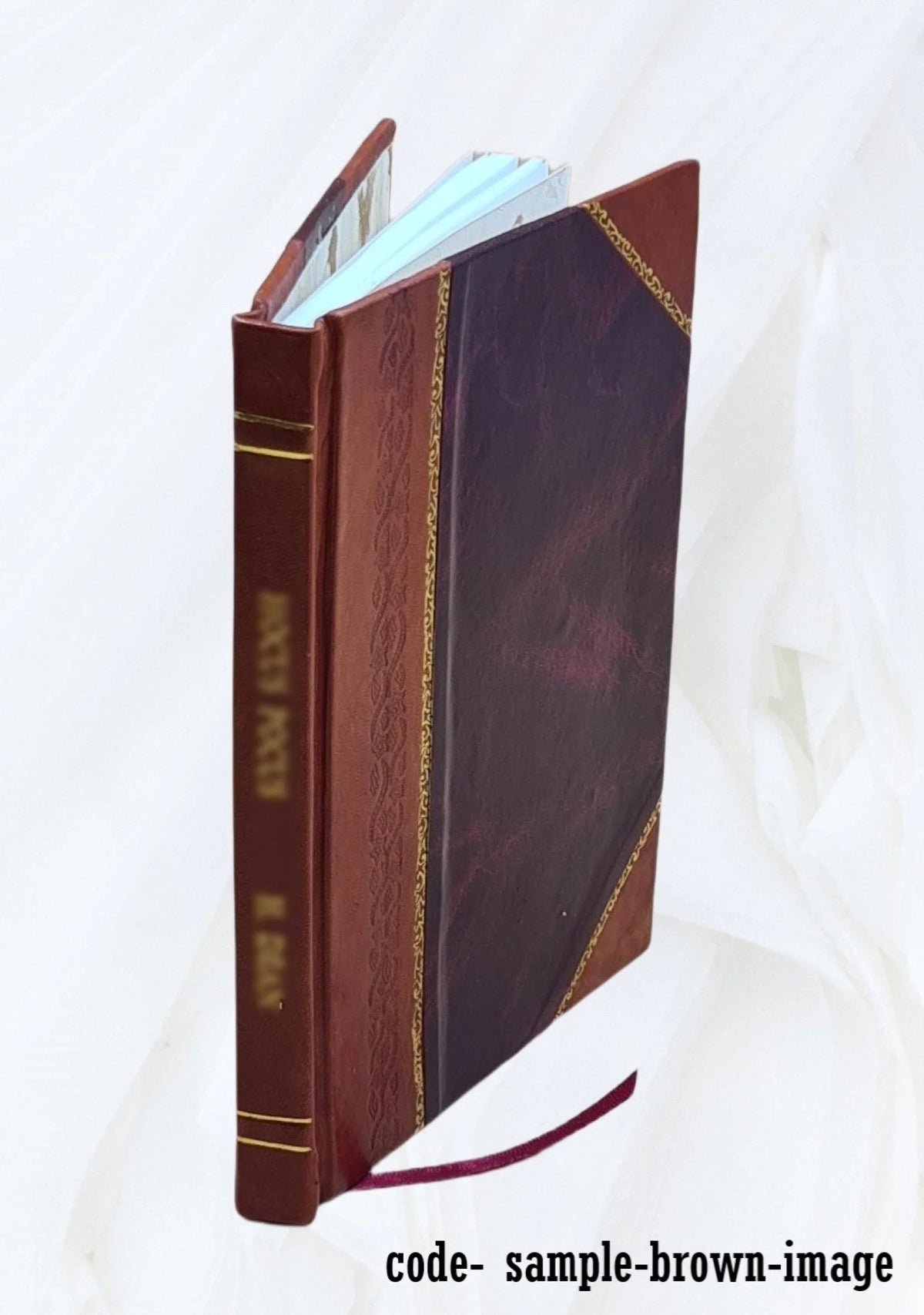 Leather Bound Book L38365