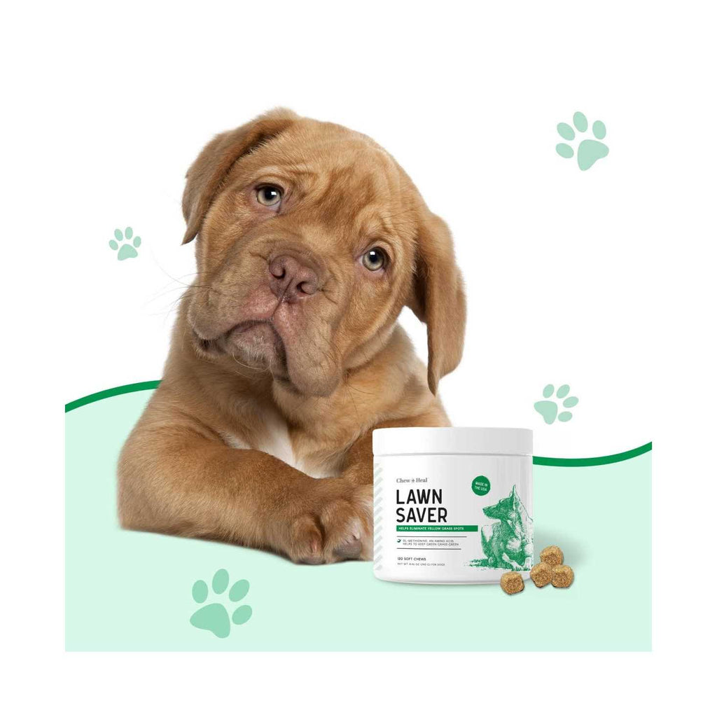 Lawn Saver Pet Supplies E944