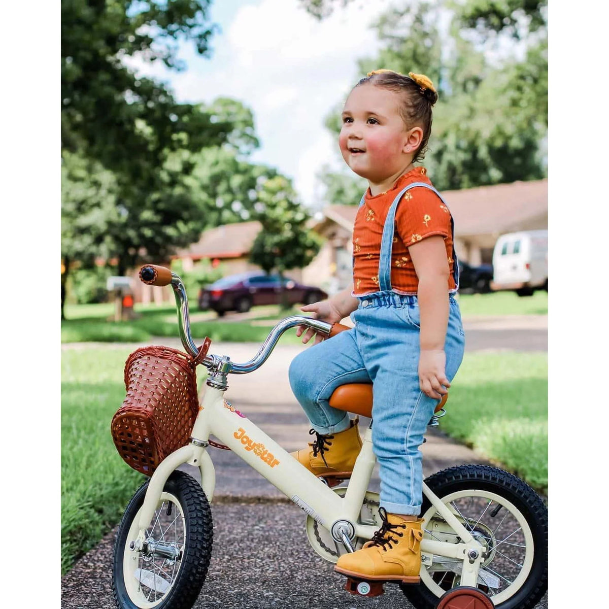 12In Kids Training Wheel Bike with Basket N2443