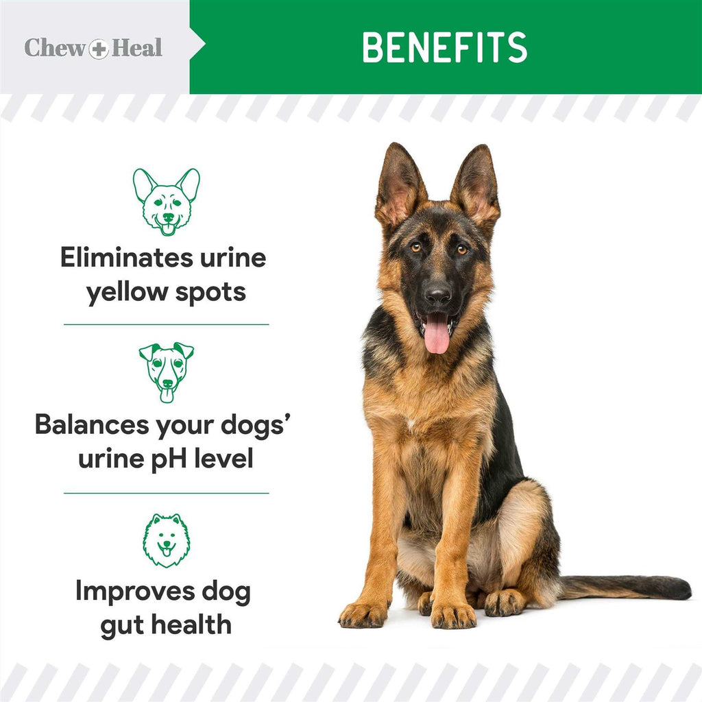 Lawn Saver Pet Supplies E944