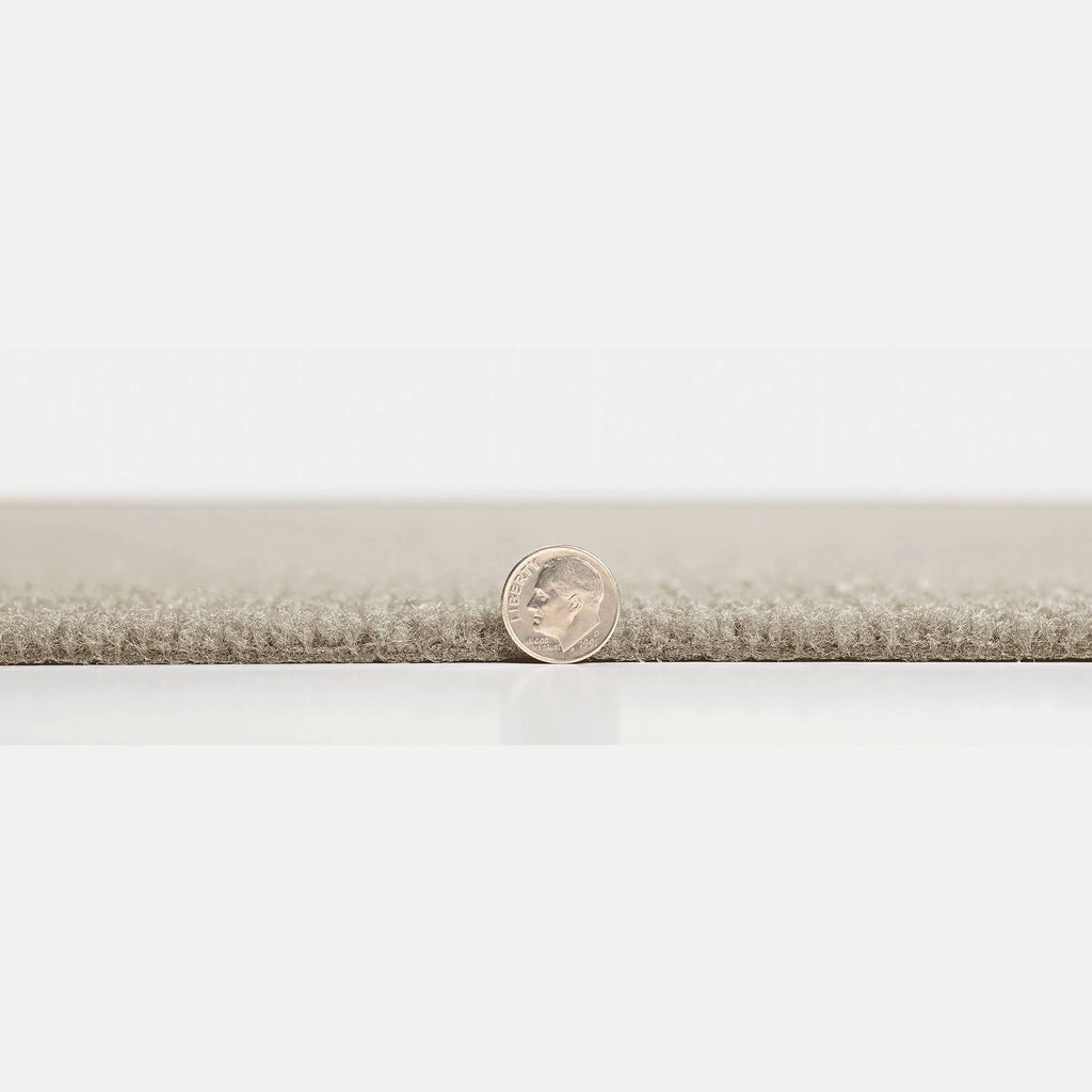 Peel and Stick Carpet Tiles 15 Tiles U103