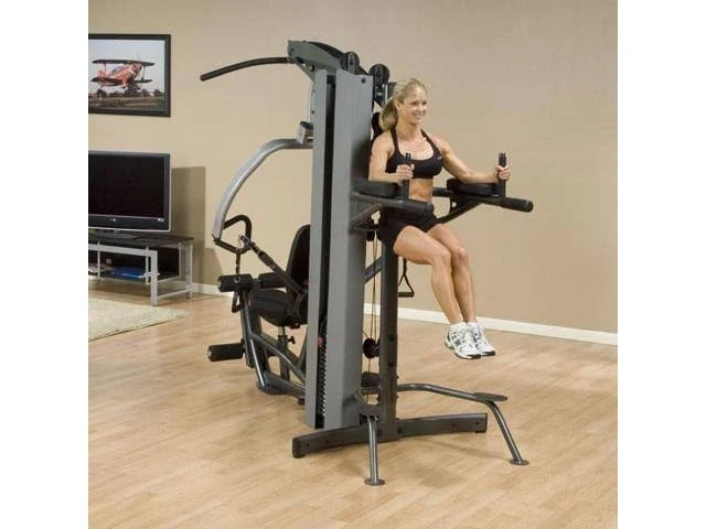 Vertical Knee-Raise/Dip Station Z3035