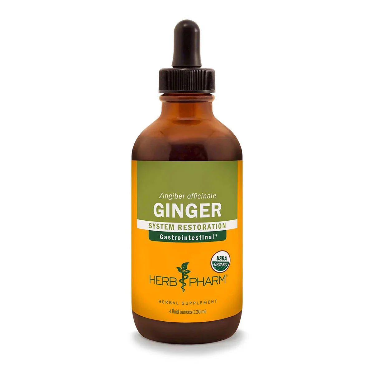 Ginger T787046