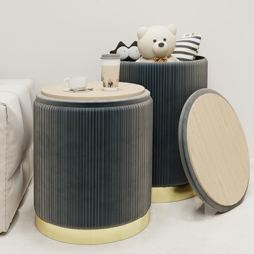 Round Storage Ottoman Set of 2 Velvet Grey M43773