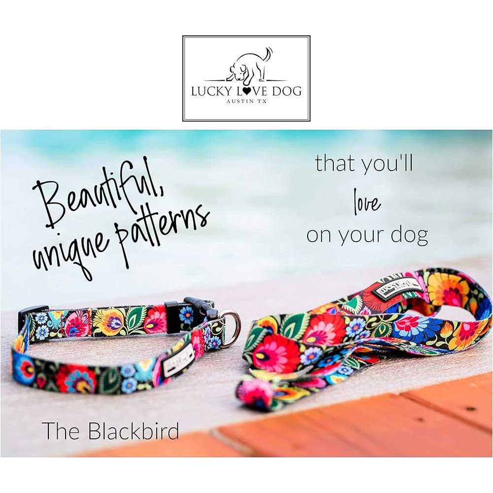 Martingale Dog Collar No Slip A961107
