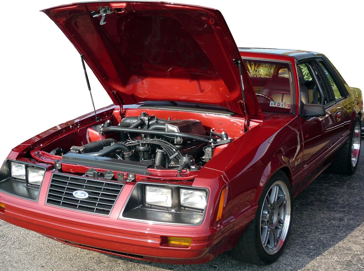 Hood QuickLIFT PLUS System C172