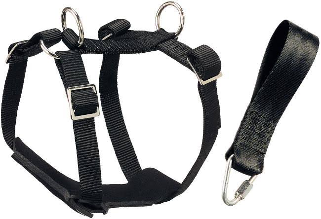 Car Safety Harness Extra-Large 25 cm Q162836