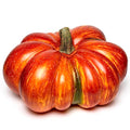 Large Artificial Pumpkin 12.6inch White Speckles L77566