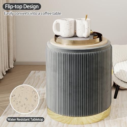 Round Storage Ottoman Set of 2 Velvet Grey M43773