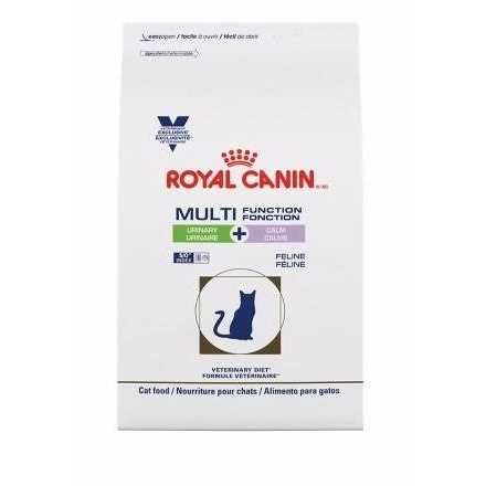 Dry Cat Food Y360824