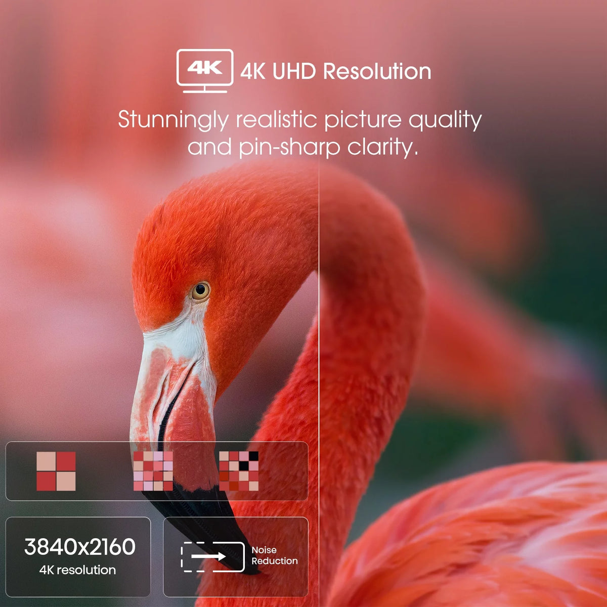 75-Inch 4K UHD Google Smart TV B534892