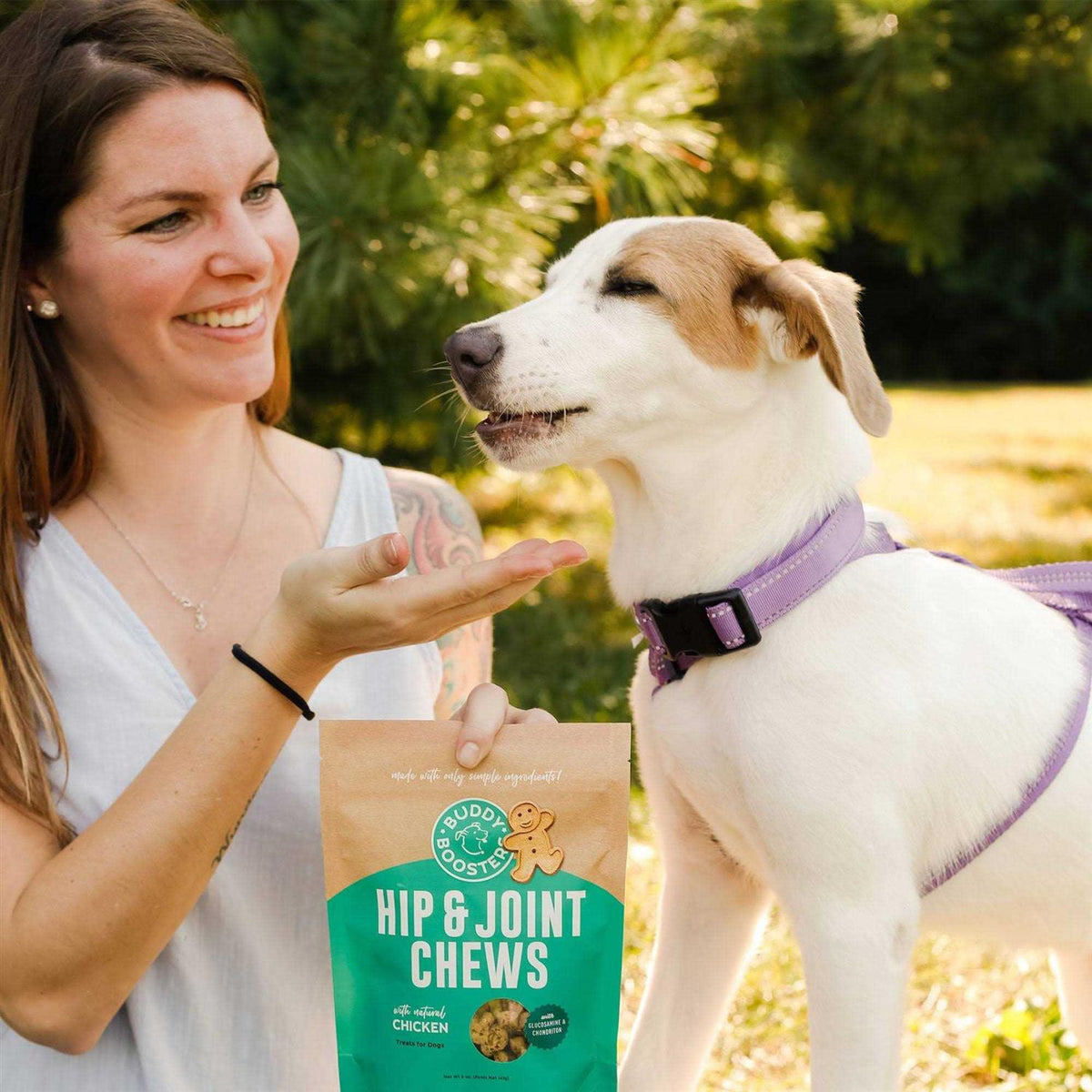 Chicken Hip & Joint Dog Treats M70855